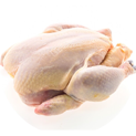 pollo